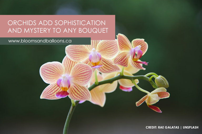 Orchids add sophistication and mystery to any bouquet